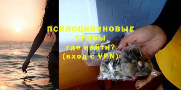 метадон Елизово