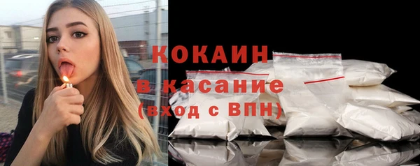 стаф Ельня