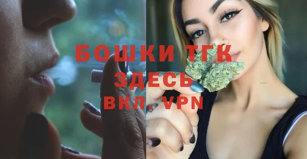 метадон Елизово