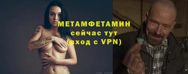 стаф Ельня