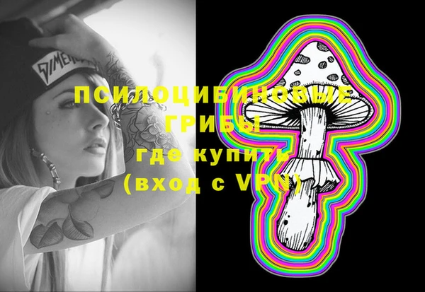 стаф Ельня
