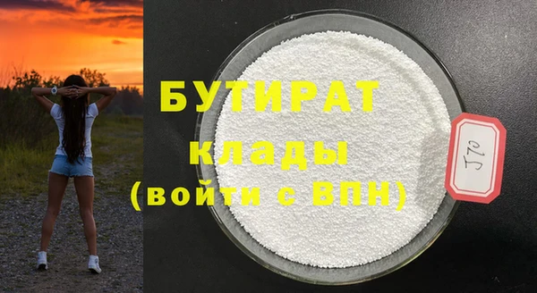 стаф Ельня