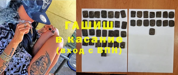 стаф Ельня