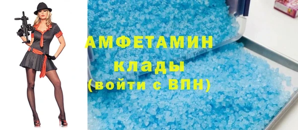 стаф Ельня
