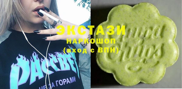 стаф Ельня