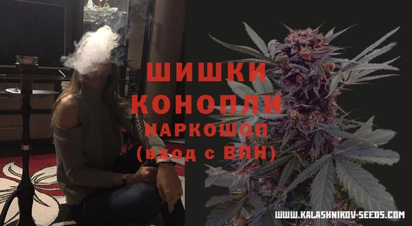 стаф Ельня