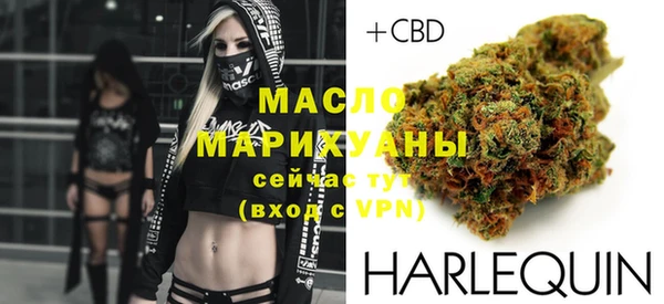 стаф Ельня