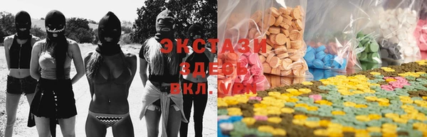 стаф Ельня